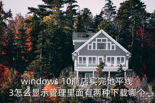 windows 10商店买完地平线3怎么显示管理里面有两种下载哪个