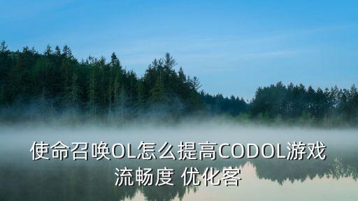 使命召唤OL怎么提高CODOL游戏流畅度 优化客