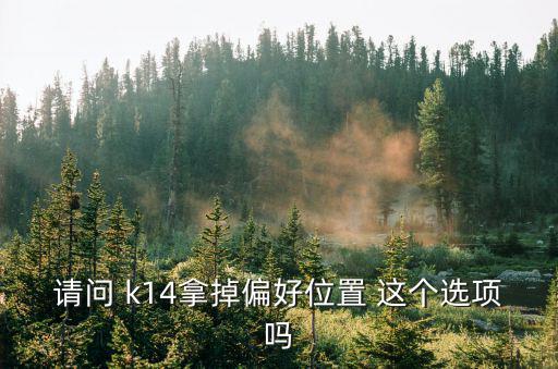 请问 k14拿掉偏好位置 这个选项吗