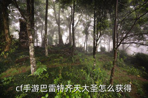 cf手游西游劫路怎么领取孙悟空，我cf手游雷神礼包还有齐天大圣地狱火雷神没充我只有5千钻我我准备