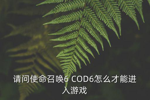 中国人怎么登录使命召唤手游，请问使命召唤6 COD6怎么才能进入游戏