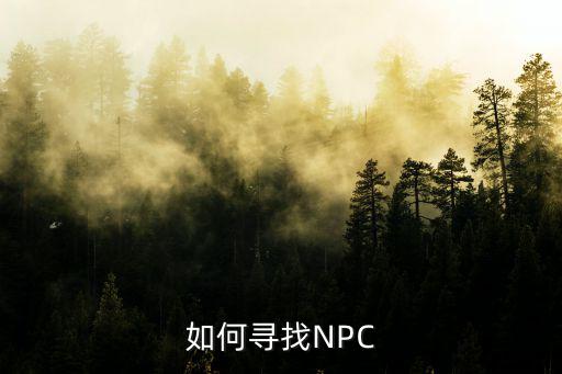 如何寻找NPC