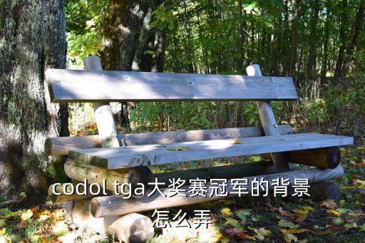 codol tga大奖赛冠军的背景怎么弄