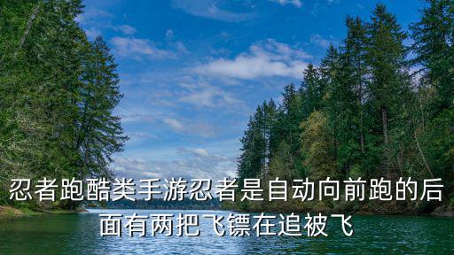 忍者跑酷类手游忍者是自动向前跑的后面有两把飞镖在追被飞