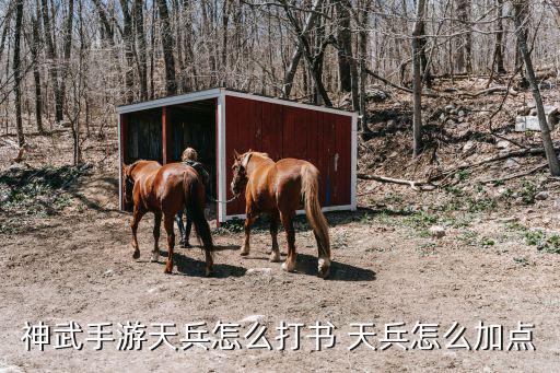 神武手游天兵怎么打书 天兵怎么加点