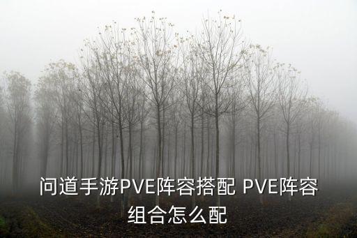 问道手游PVE阵容搭配 PVE阵容组合怎么配