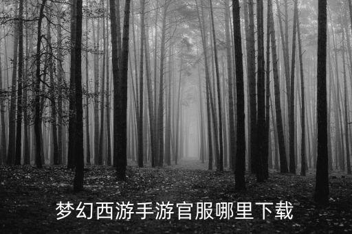 梦幻西游手游官服哪里下载