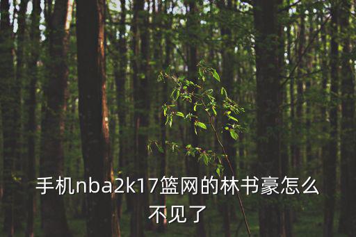 手机nba2k17篮网的林书豪怎么不见了