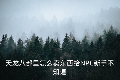 天龙八部里怎么卖东西给NPC新手不知道