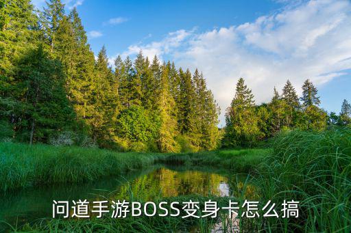 问道手游BOSS变身卡怎么搞