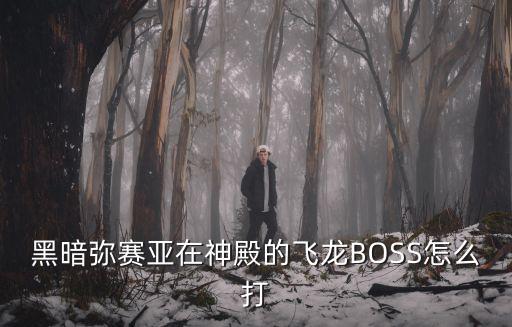 黑暗弥赛亚在神殿的飞龙BOSS怎么打