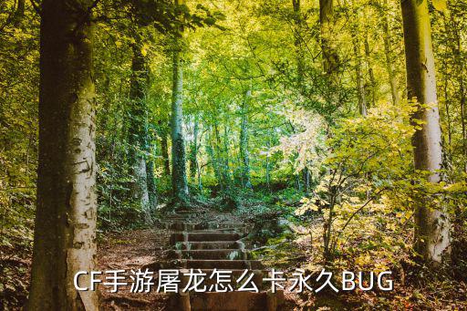 CF手游屠龙怎么卡永久BUG