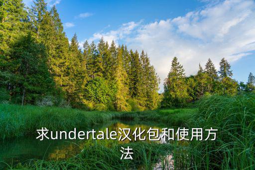 求undertale汉化包和使用方法