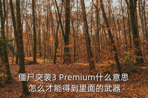 僵尸突袭3 Premium什么意思 怎么才能得到里面的武器