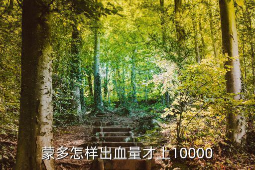 蒙多怎样出血量才上10000