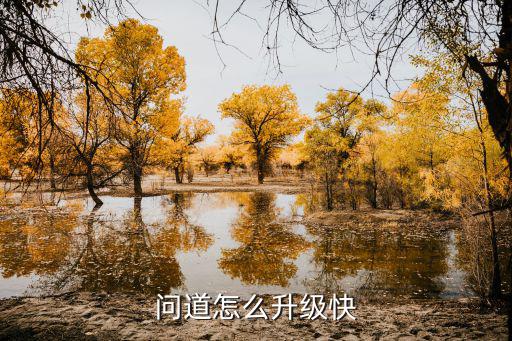 问道怎么升级快