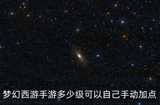 梦幻西游手游多少级可以自己手动加点