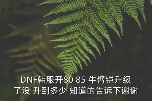 DNF韩服开80 85 牛臂铠升级了没 升到多少 知道的告诉下谢谢