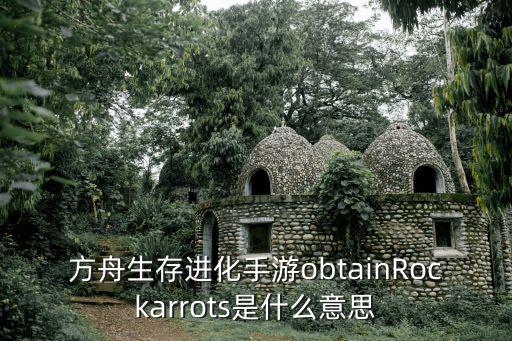 方舟生存进化手游obtainRockarrots是什么意思