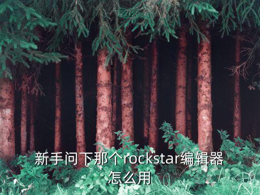 新手问下那个rockstar编辑器怎么用