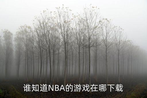 谁知道NBA的游戏在哪下载