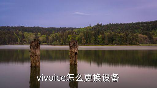 vivoice怎么更换设备