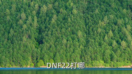 dnf手游22层怎么打，地下城我22级了应该打什么去