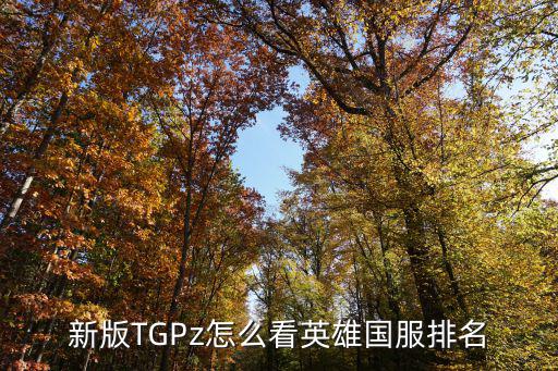 新版TGPz怎么看英雄国服排名