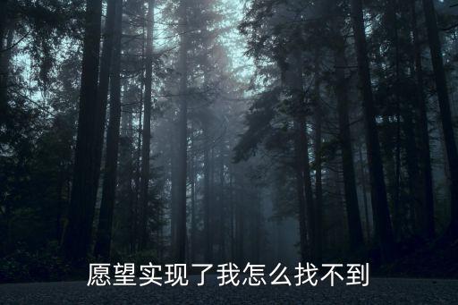 愿望实现了我怎么找不到