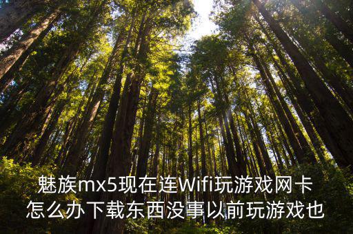 魅族mx5现在连Wifi玩游戏网卡怎么办下载东西没事以前玩游戏也