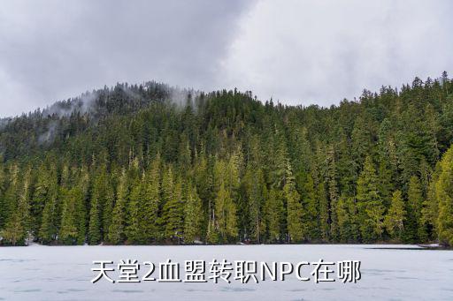 天堂2血盟转职NPC在哪