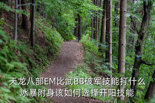 天龙八部EM比武BB破军技能打什么冰暴附身该如何选择开阳技能