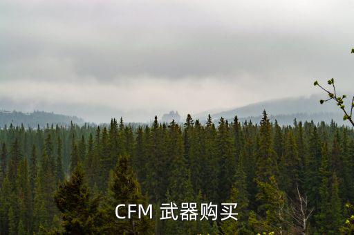 CFM 武器购买