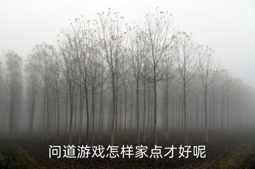 问道手游怎么提高居所空间，问道手游里居所陌生人怎么进不去