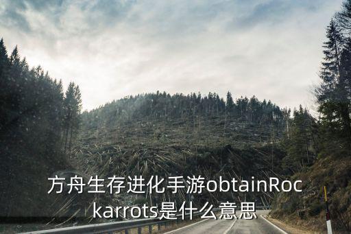 方舟生存进化手游obtainRockarrots是什么意思