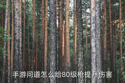 手游问道怎么给80级枪提升伤害