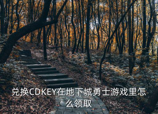 兑换CDKEY在地下城勇士游戏里怎么领取