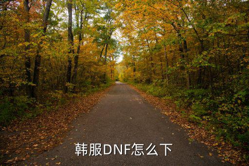 韩服DNF怎么下