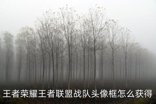 王者荣耀王者联盟战队头像框怎么获得