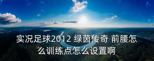 实况足球2012 绿茵传奇 前腰怎么训练点怎么设置啊