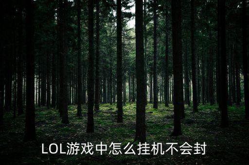 LOL游戏中怎么挂机不会封