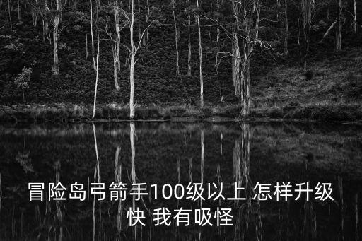 冒险岛弓箭手100级以上 怎样升级快 我有吸怪