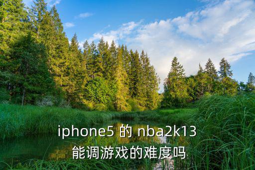 iphone5 的 nba2k13 能调游戏的难度吗