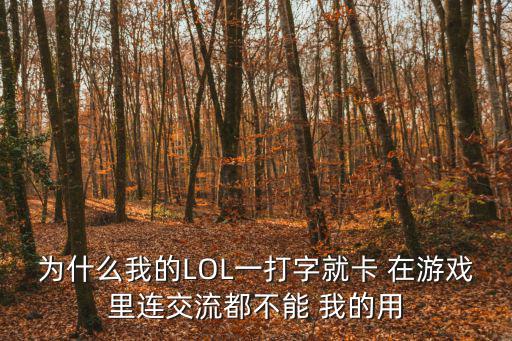 为什么我的LOL一打字就卡 在游戏里连交流都不能 我的用