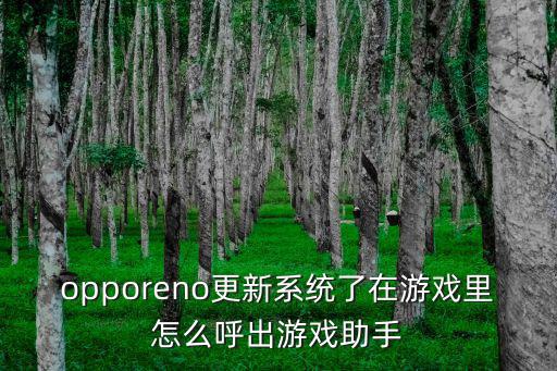 opporeno更新系统了在游戏里怎么呼出游戏助手