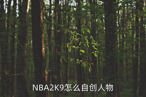 NBA2K9怎么自创人物