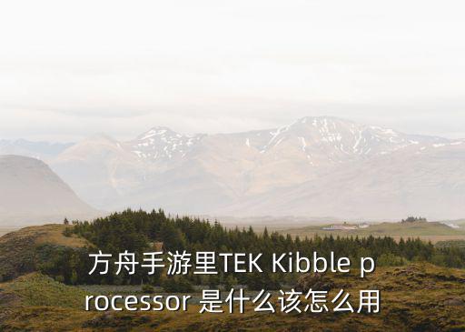 方舟手游里TEK Kibble processor 是什么该怎么用