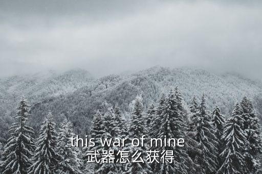 this war of mine 武器怎么获得