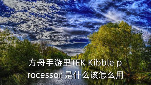 方舟手游新手怎么看不到打的伤害，方舟手游里TEK Kibble processor 是什么该怎么用