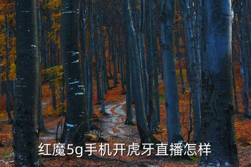 红魔5g手机开虎牙直播怎样